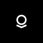 Palantir Gotham logo